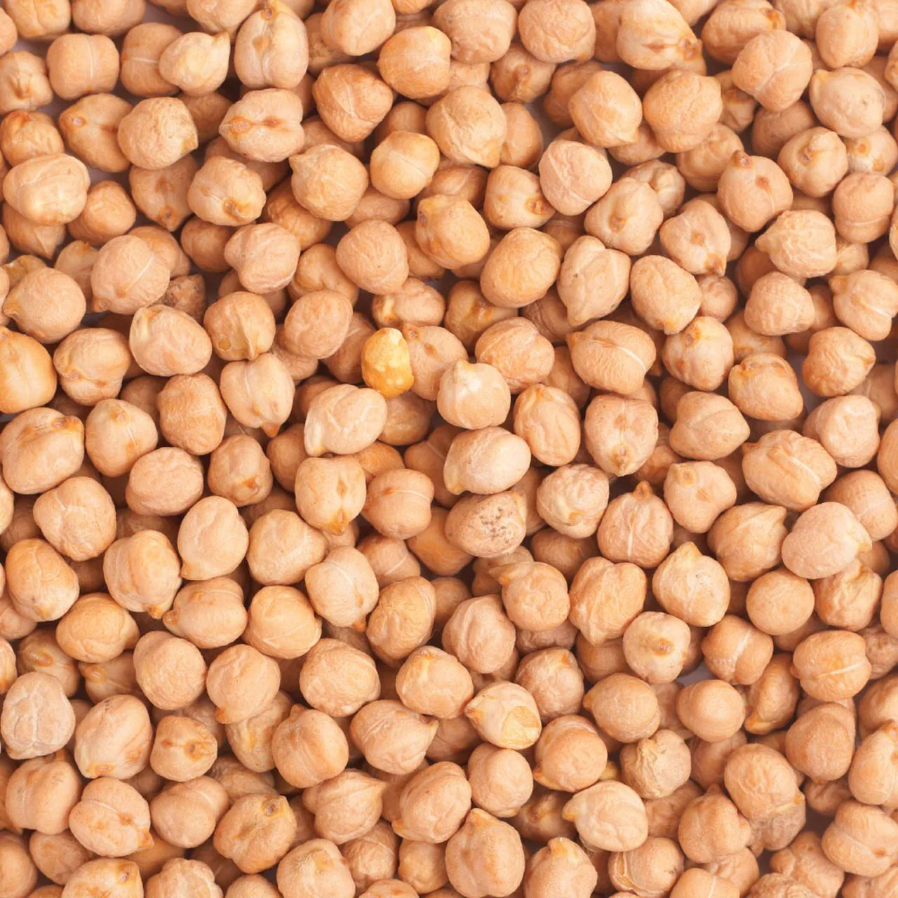 Chick Peas - 10mm - Image 2