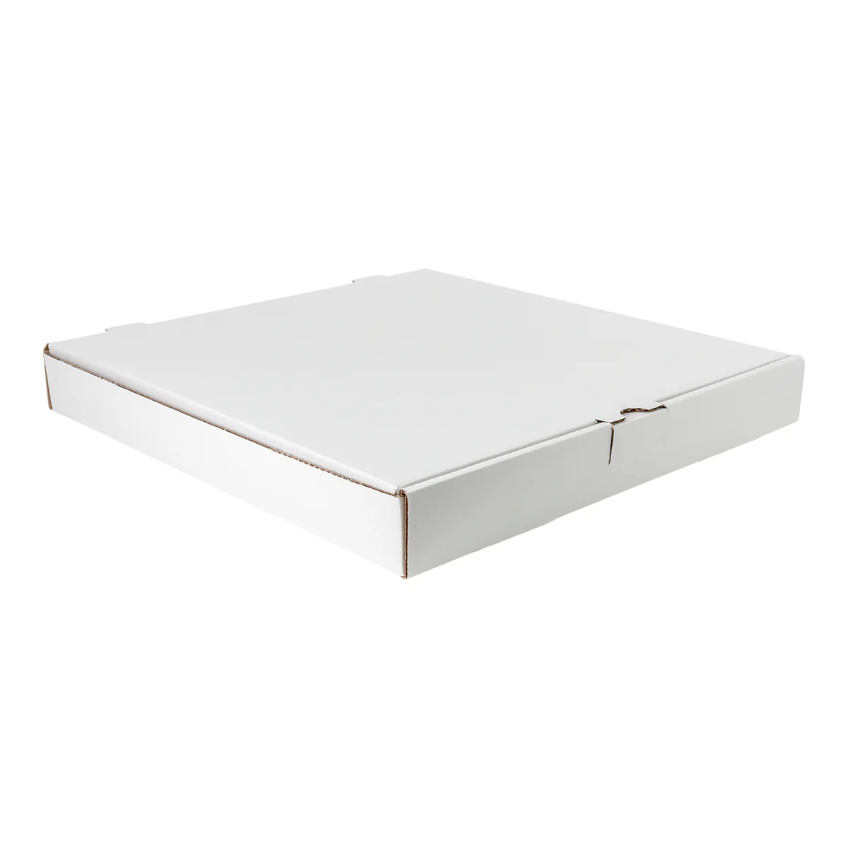 Ecogreen - Pizza Box - 15X21 (Party Size)