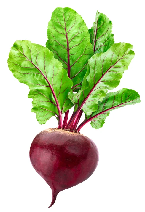 Fresh - Beet Root