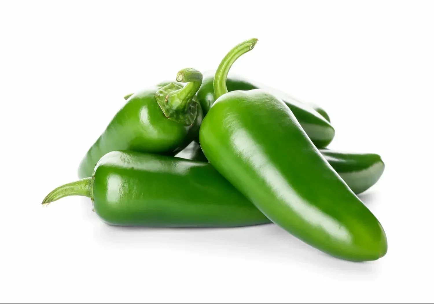 Fresh - Jalapeno - 15Lb