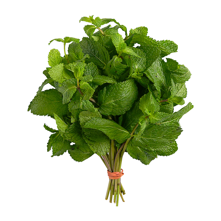 Fresh - Mint