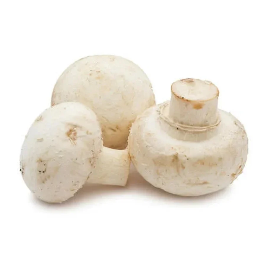 Fresh - Mushroom