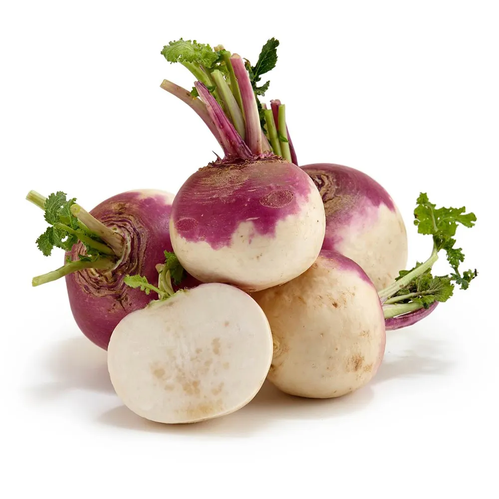Fresh - Turnip