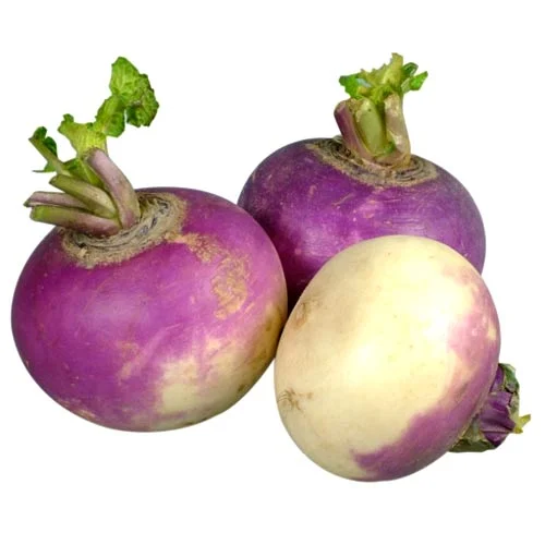 Fresh - Spanish Onion - 25Lb