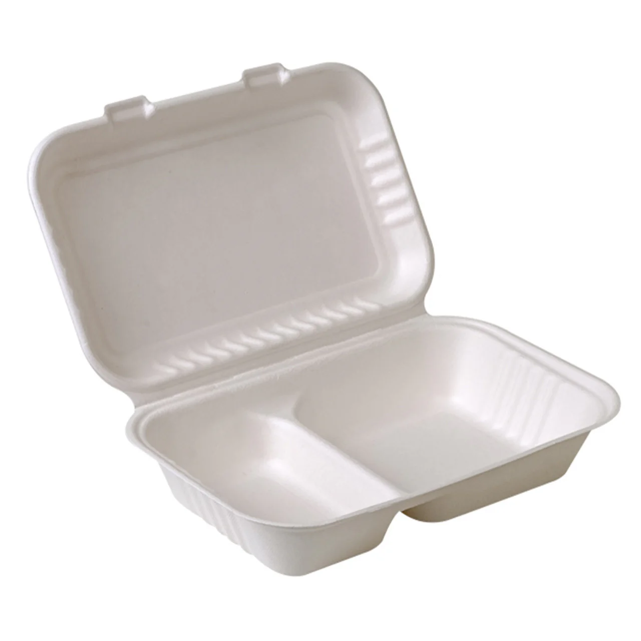 Tenclouds - 9X6 Baggase Container - 2 Comp