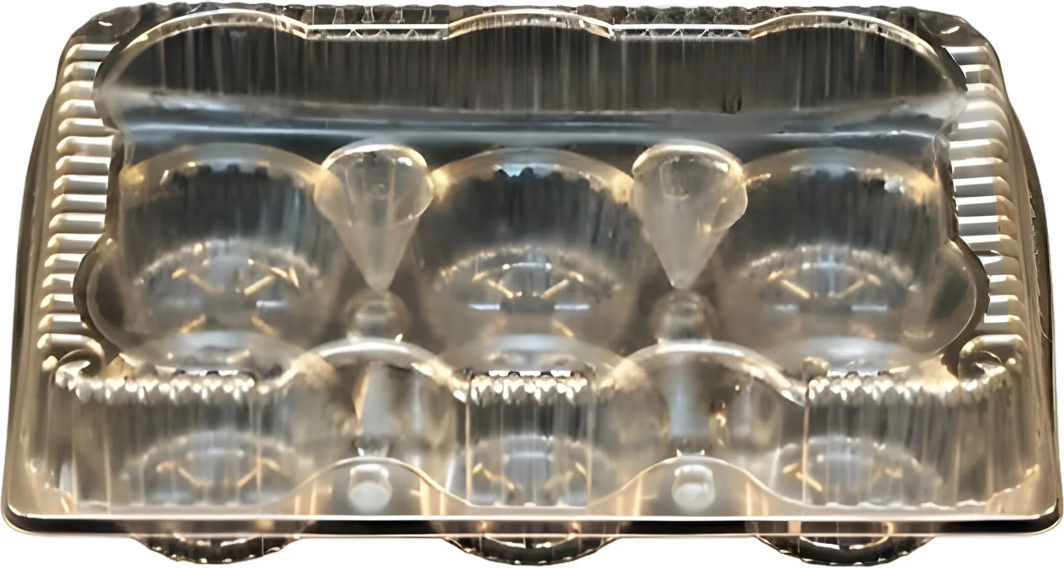 Vespa - 6 Muffin Container - V054